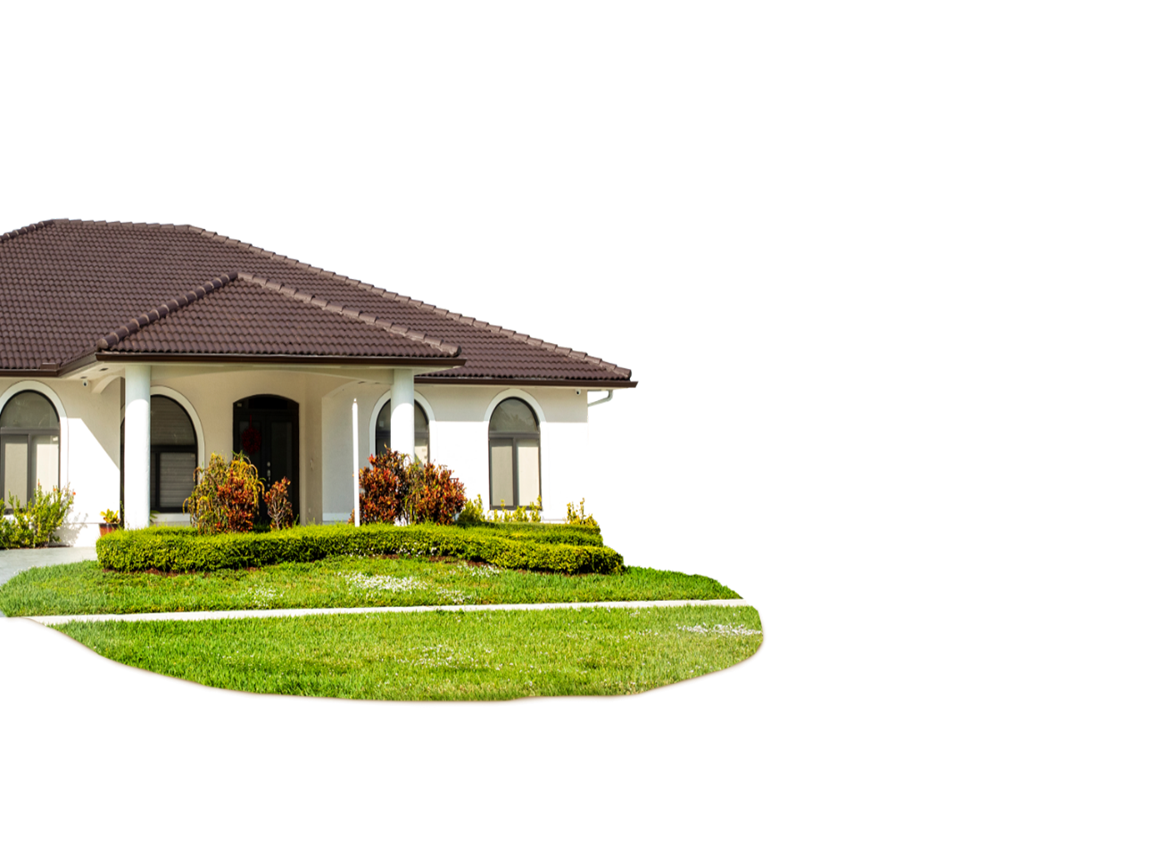 testimonial-desktop-bg